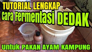 LENGKAP Cara Fermentasi Dedak Untuk Pakan Ayam [upl. by Airehc]