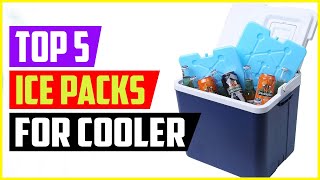 Top 5 Best Ice Packs for Cooler of 2022 [upl. by O'Shee]