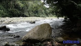 El río Mashpi en el corazón del Chocó Andino [upl. by Llehsyt242]