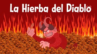 La hierba del diablo  Piloto Couch Day [upl. by Beaston235]