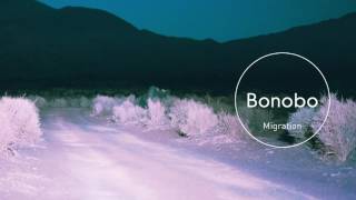 Bonobo  Outlier Official Audio [upl. by Epp467]