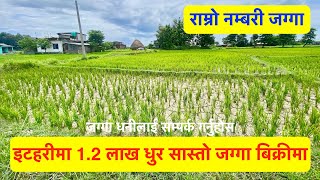 1 2 Lakh Dhur Land for sale in itahari nepalsasto ghaderi itahariWatsup 9779816361657 [upl. by Veneaux]