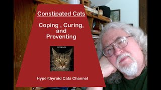 Cats and Constipation Coping Curing and Preventing [upl. by Kolk]