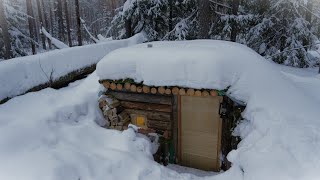 How to Build a Survival Shelter in the Wild StepbyStep Process Сomfort inside [upl. by Luht185]