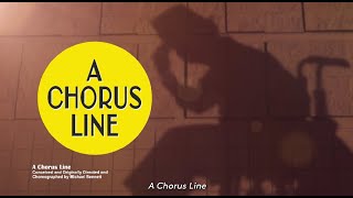 Experience Phamalys Production of A Chorus Line [upl. by Petronille354]