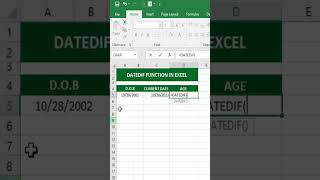 DATEDIF Formula in excel  Excel function shorts Excel [upl. by Messab]