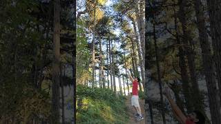 Beauty around formby beach 🏖️🌳 trending nature shorts shortvideo shortsfeed dgvlogs [upl. by Remled]