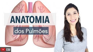 Sistema Respiratório 46 Anatomia dos Pulmões  Anatomia e etc [upl. by Ylahtan]