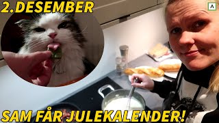 PUS FÅR JULEKALENDER OG HANDLETUR Vlogmas 02 [upl. by Huntington]