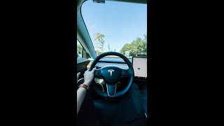 Tesla Model 3 Long Range with Acceleration Boost 060 [upl. by Valry370]