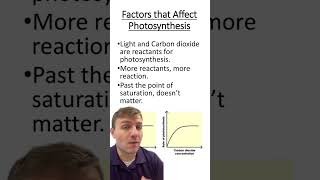 Factors that affect photosynthetic rates [upl. by Lafleur539]