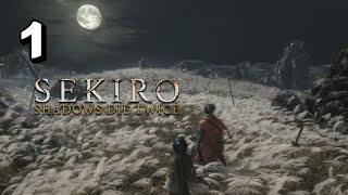 SEKIRO SHADOW DIE TWICE IMMORTAL SEVERANCE ENDING PART 1  LAST ENDING GUYSS [upl. by Otnicaj148]