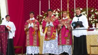 Notre Dame de Chrétienté  Pèlerinage de Chartres 2012 [upl. by Euqinimod]