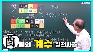 중급 274강 유酉월의 계수 실전사주🐔 [upl. by Jeaz]