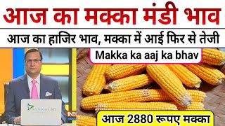 आज का मक्का भाव॥ मक्का का आज का भाव॥ मक्का भाव में आज फिर आई तेजी॥ मक्का का भाव॥ makka ka bhav [upl. by Teraj185]