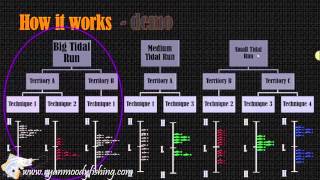 Tides and Times to catch barramundi with barra basics course [upl. by Rebe293]