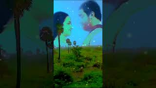 வலையோசை🎼இளையராஜாhits🎤tamil love songs😍🎵 [upl. by Holcomb]