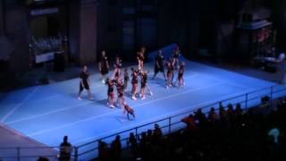 Tiny Wildcats  Elite Cheerleading Championship 2013 [upl. by Rolecnahc212]