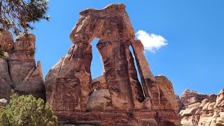 Canyonlands Natl Park  Needles District  Druid Arch Hike [upl. by Ennovad256]