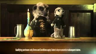 Compare the Meerkat  Advert 26 [upl. by Eenwat]