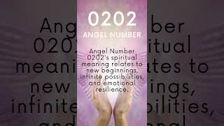 Angel Number 0202 Meaning Unlock Intuition Love amp New Beginnings AngelNumber0202 [upl. by Nylleoj]