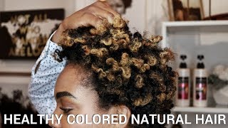 5 Tips for HEALTHY Colored Natural Hair [upl. by Hanus689]