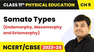 Somato Types Endomorphy Mesomorphy and Ectomorphy  Class 11 Health amp Physical Education Ch 9 [upl. by Hamil]