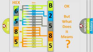 DTC Chevrolet B258500 Short Explanation [upl. by Marwin]