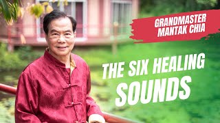 The Six Healing Sounds what healthy organs sound like Taoist practice with Grandmaster Mantak Chia [upl. by Manoff]