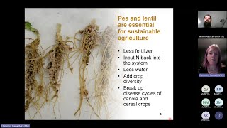 ILSWs3e2 Addressing root rot in pea and lentil with Syama Chatterton [upl. by Chemosh]