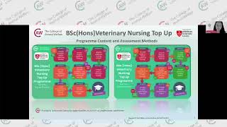 BSc Hons Veterinary Nursing Top Up Degrees Virtual Open Evening 15 May 2024 [upl. by Ratha]