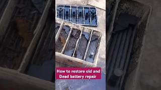 How to restore old and Dead battery repair solar car battery repair shorts viralvideo [upl. by Brandyn349]