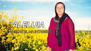 Corina Moldovan  Aleluia La necaz El te intareste Official video [upl. by Azaleah]