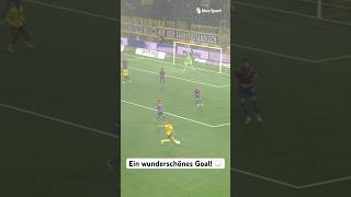 Zaubertor ins falsche Netz Basel mit Eigentor für die YB 🥴⚽️ [upl. by Meeks968]