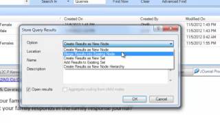 Nvivo 10 Coding Queries [upl. by Ahsaelat]