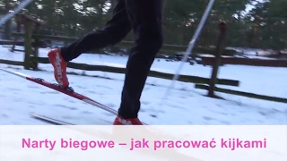 Narty biegowe  jak pracować kijkami [upl. by Shewchuk225]