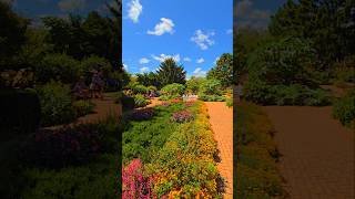 flowers blooming at Chicago Botanic Garden chicago chicagobotanicgarden Illinois Chitown [upl. by Selassie]