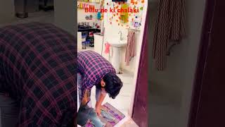 Billu ki chalaki comedy billicomedy cat funny billikisound catlover pets billikabachcha [upl. by Schmitt429]