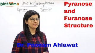 Pyranose and Furanose  Carbohydrates Glucose  Ribose Deoxyribose  Dr Poonam Ahlawat Biozooms [upl. by Shannan922]