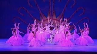 The Nutcracker🌸Waltz of the Flowers [upl. by Terag643]