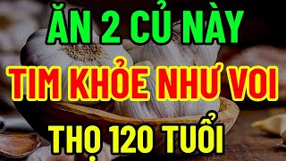 BÁC SĨ MÁCH TUỔI GIÀ ĂN CỦ NÀY ĐỐT CHÁY CHOLESTEROL MÁU LÀM SẠCH GAN THẬN [upl. by Isleen805]