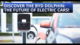 Discover the BYD Dolphin The Future of Electric Cars [upl. by Ekihc]