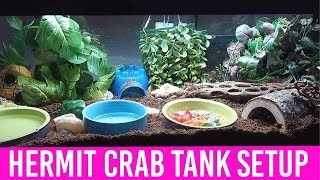 NEW Hermit Crab Tank Clean And Setup  Loris Hartland [upl. by Latsirhc]