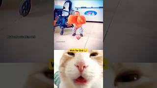 Mister Bombastic 💥 shorts viral mrbombastic memes funny  Mrbombasticmine20 [upl. by Ranita]