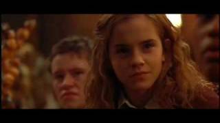 Harry Potter Trailers Movies 17 [upl. by Neural]