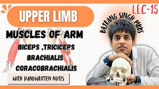 Muscles of arm anatomy  biceps brachii anatomy  hybrid muscles ll upper limb anatomy ll mbbs 1st [upl. by Frymire229]