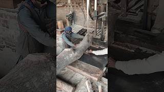 BANDSAWMILL wood woodmill carpentry woodworkingmachine woodwork diy bandsawmill [upl. by Carey211]