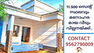 11500 സെൻ്റ് സ്ഥലവും അടിപൊളി വീടും വില്പനയ്ക്ക് [upl. by Notnek]