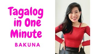 Tagalog in One Minute  Learn to Speak Filipino Fast w Tutor of Manila  2023 [upl. by Raveaux]