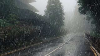 Maravilloso Sonido de Lluvia para Dormir Relajante Estudio Meditación  Lluvia en Bosque Brumoso [upl. by Lizbeth]